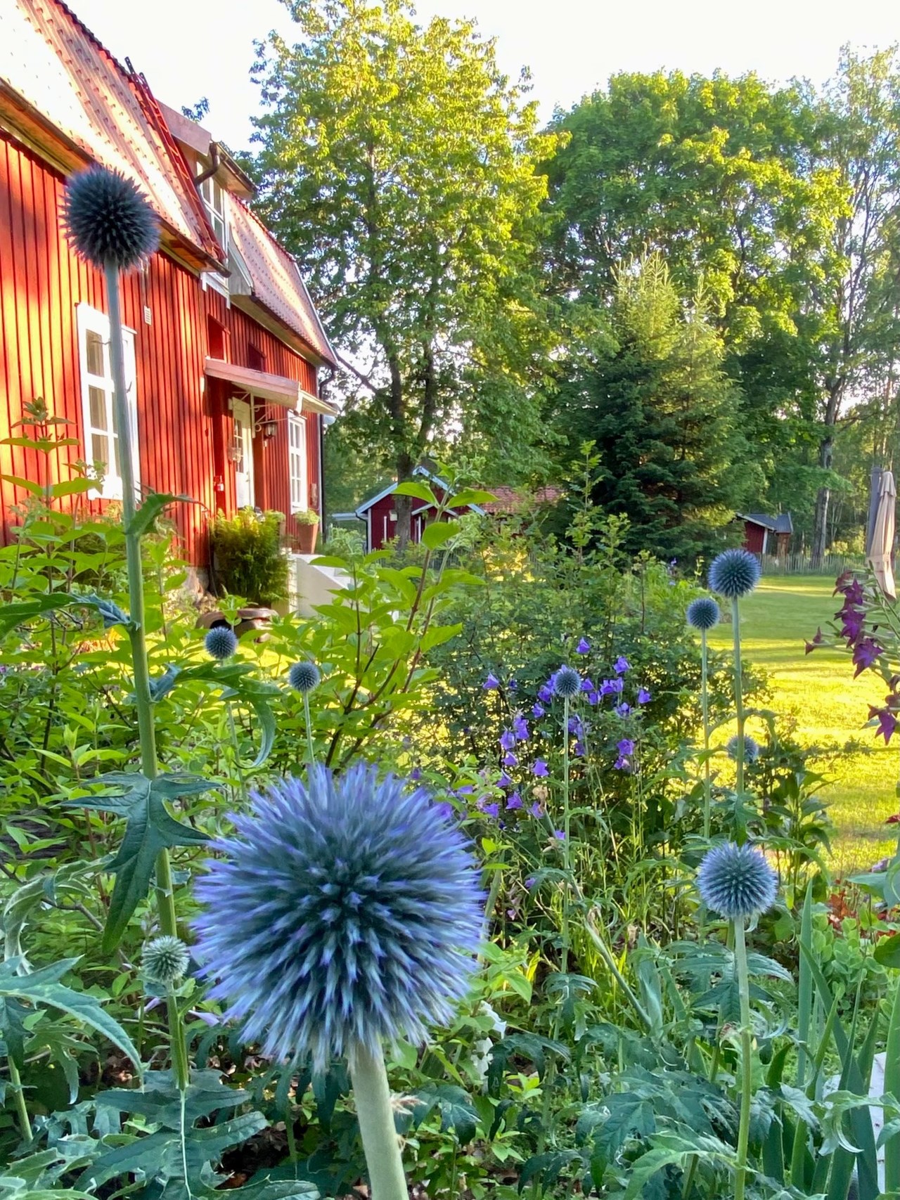 Stegaryd Sjöbygget 1