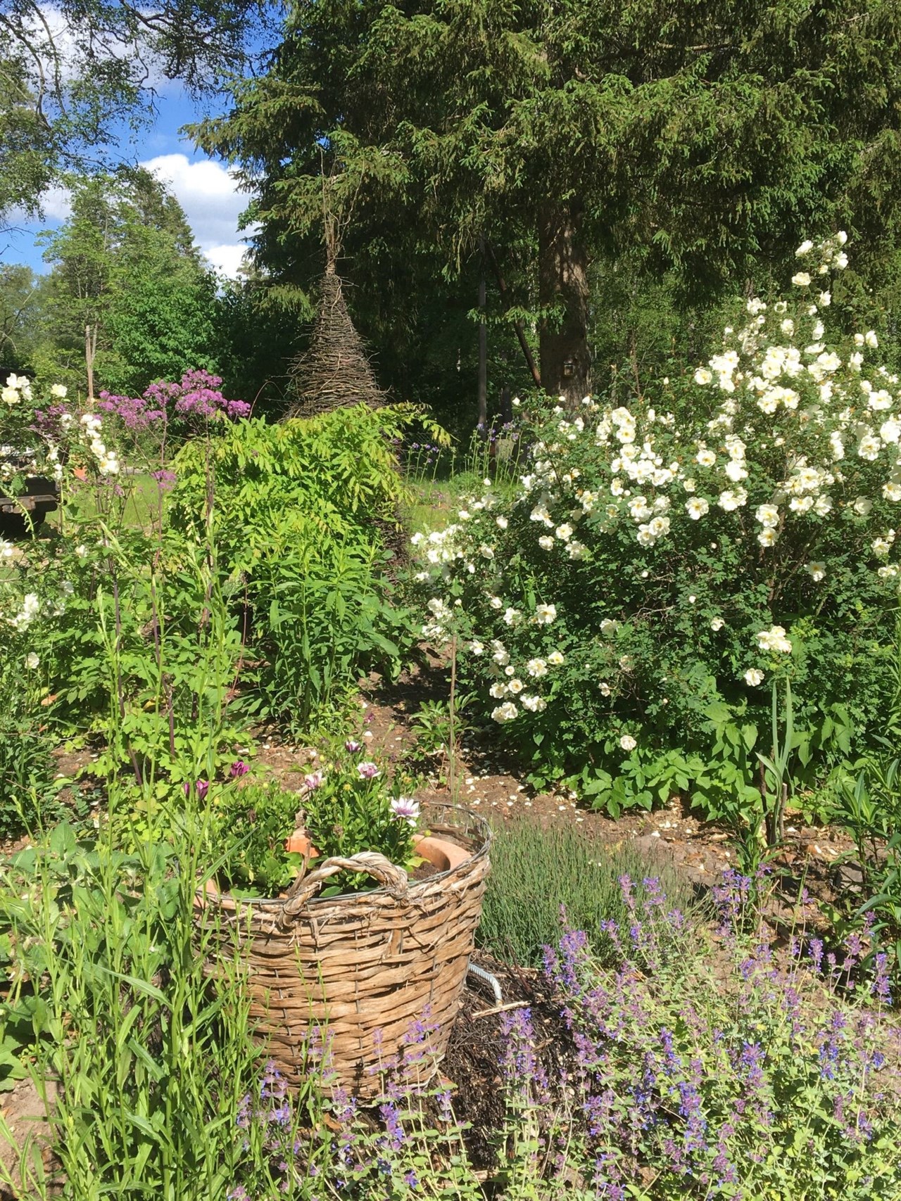 Stegaryd Sjöbygget 1