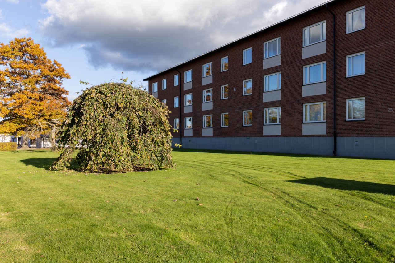Högarörsgatan 13