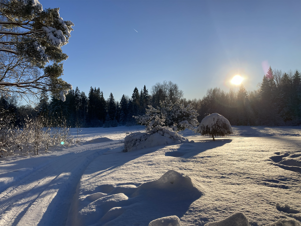 Kvinnhult 1201