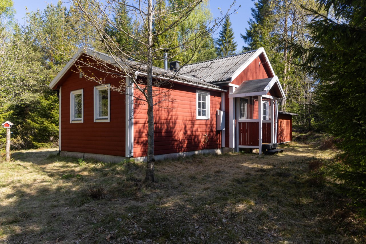 Feringe Furulund 2