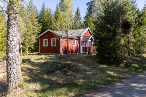 Feringe Furulund 2