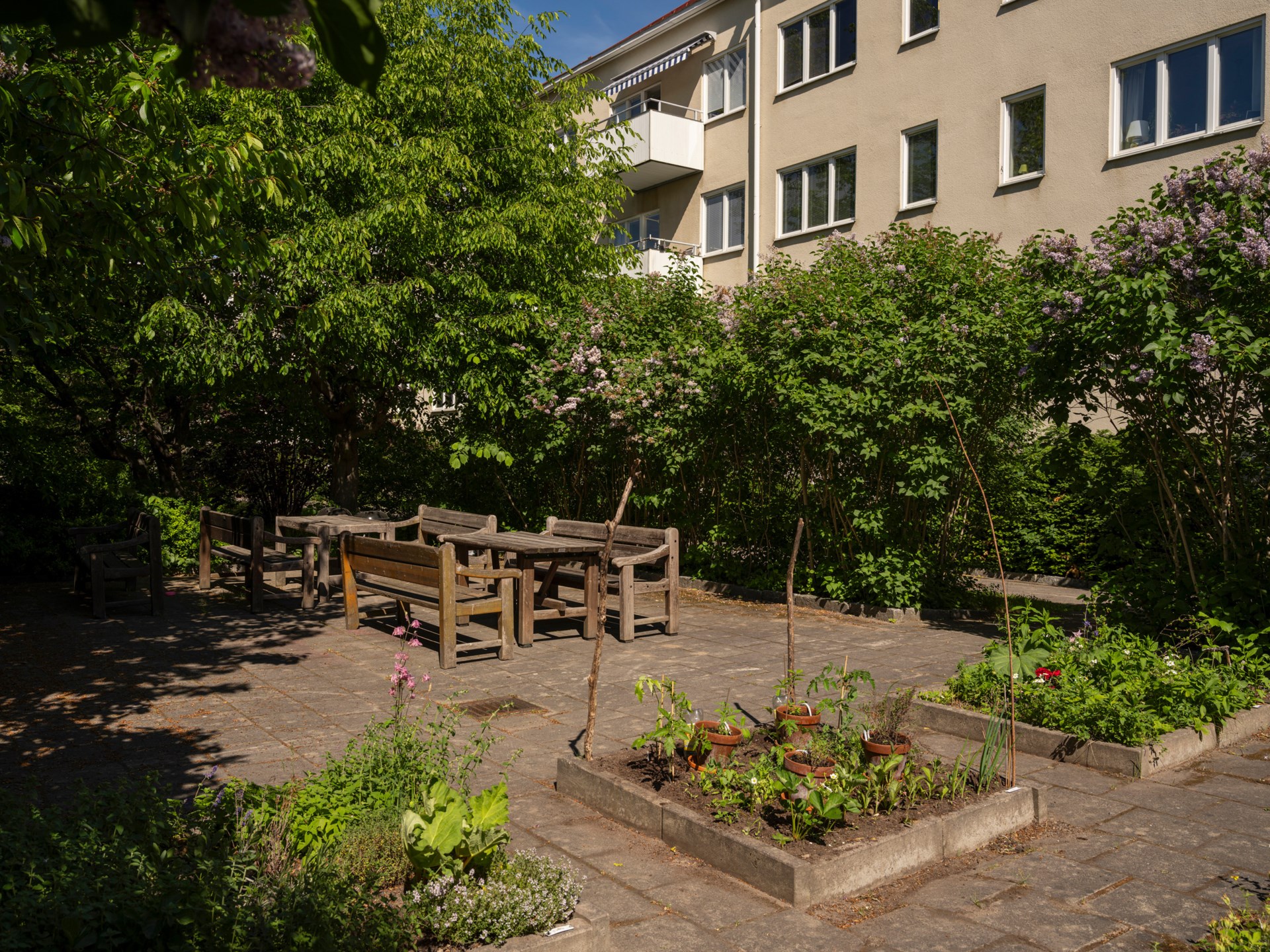 Timotejgatan 6 – bild 7