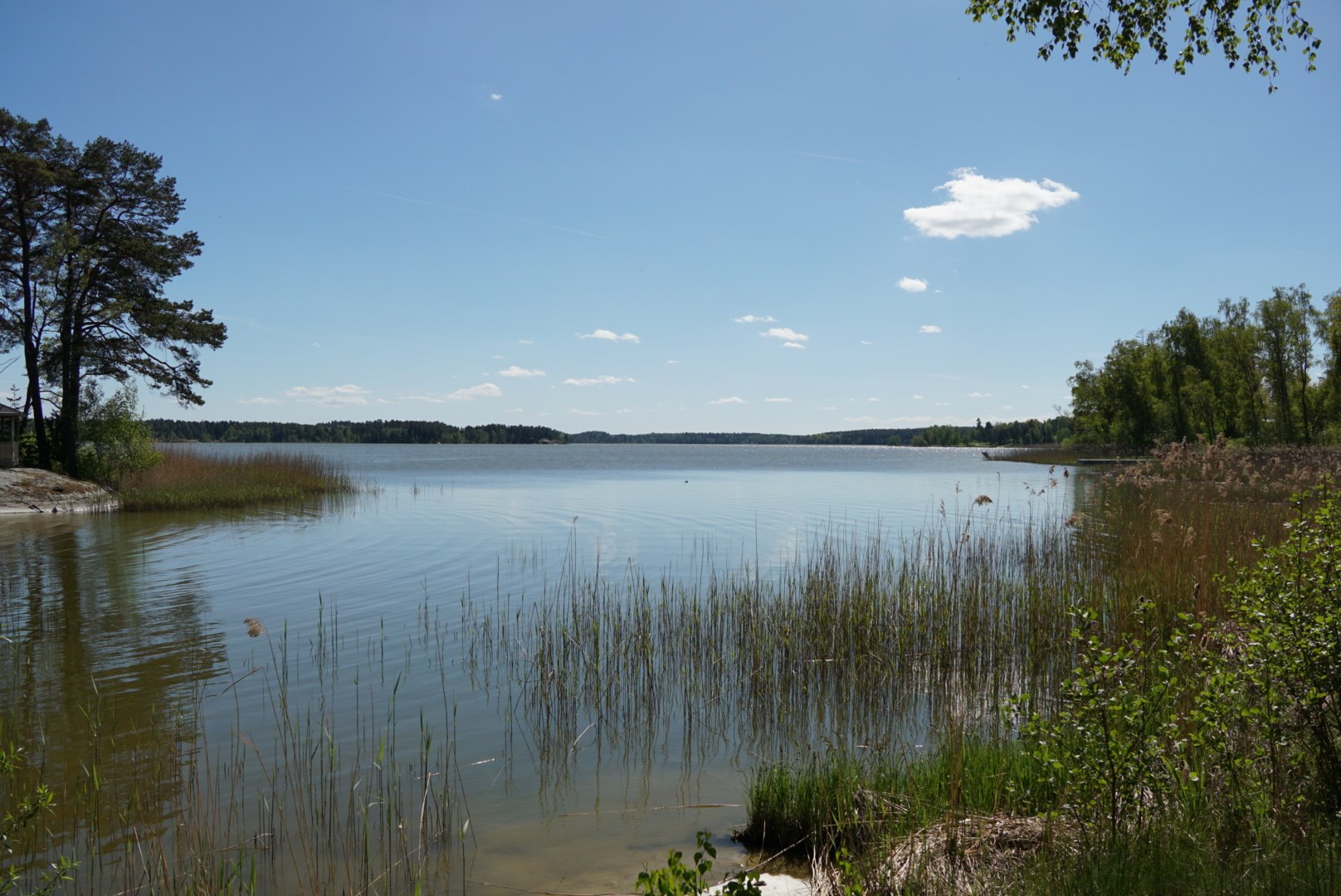 Härlingeslingan 40 – bild 40