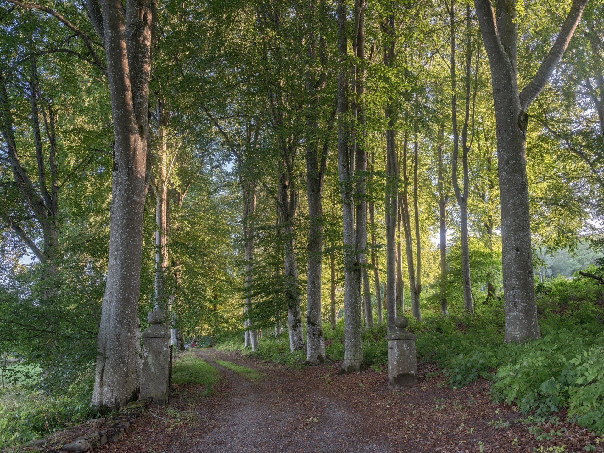 Saleby Säteri – bild 9