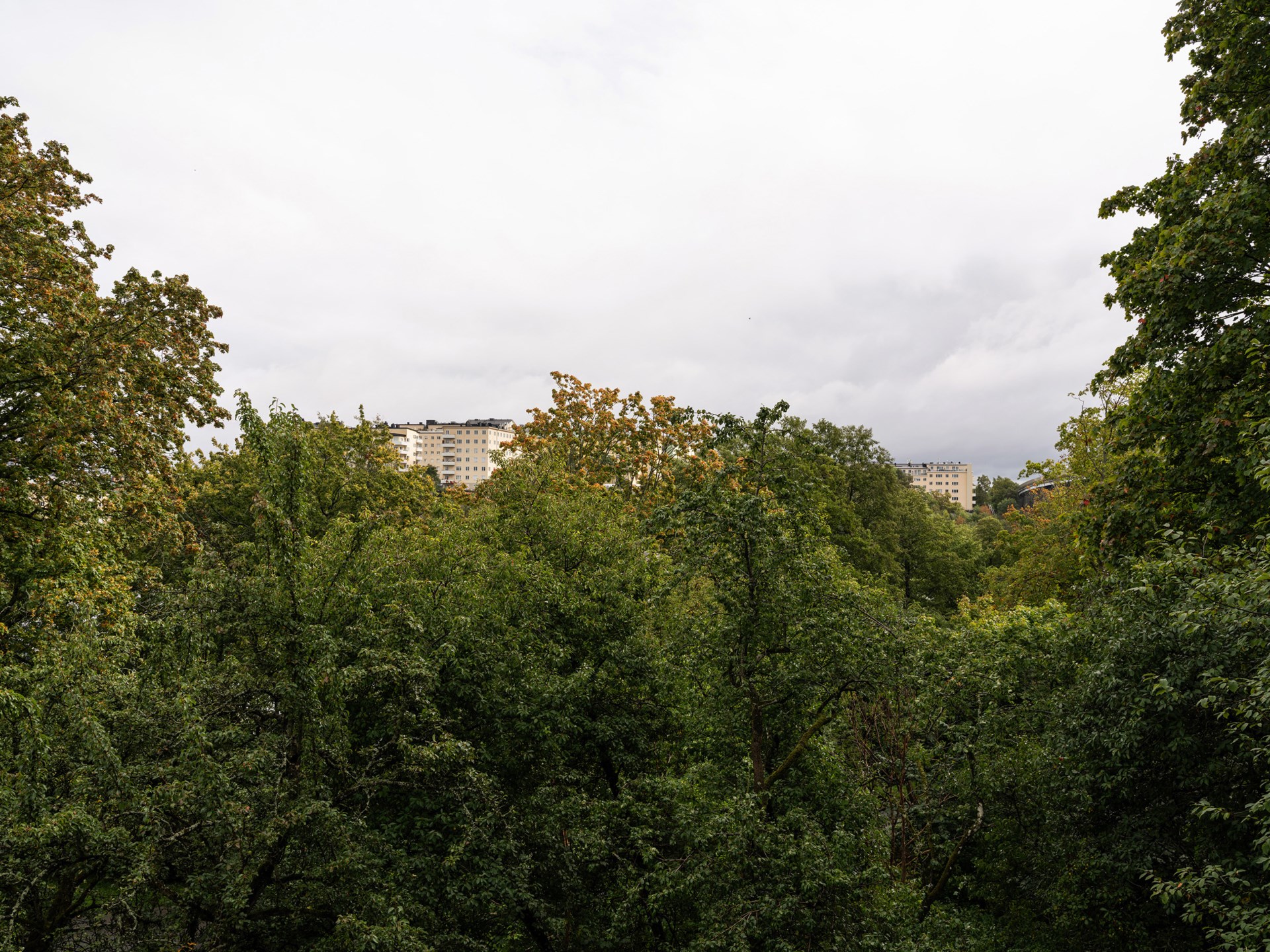 Svartviksvägen 6 – bild 10