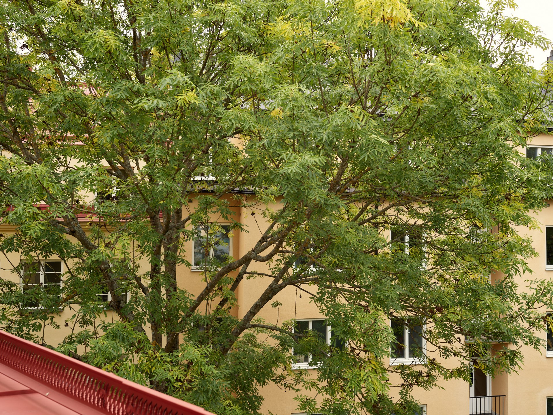 Tegelbruksvägen 1 – bild 26