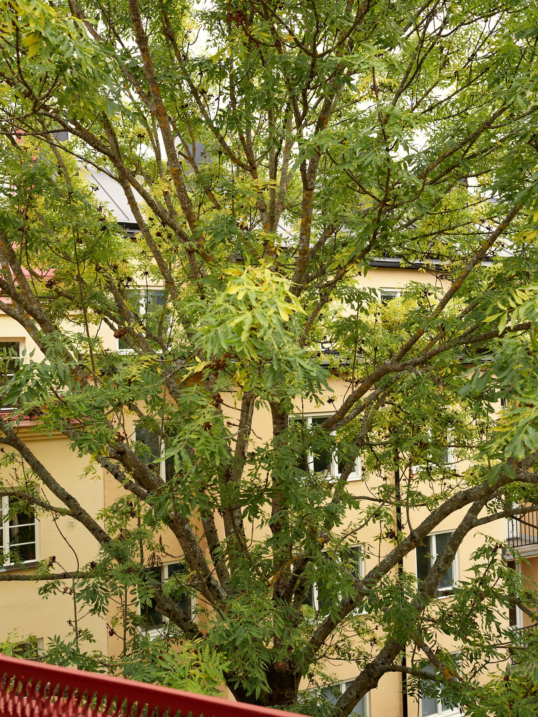 Tegelbruksvägen 1 – bild 12