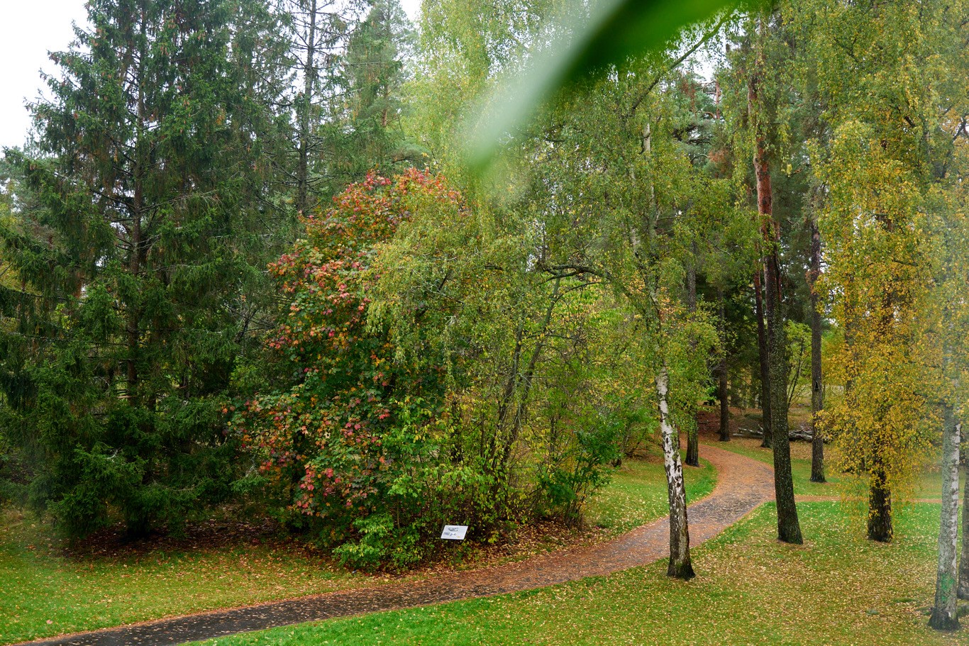 Björkvägen 44 B – bild 15
