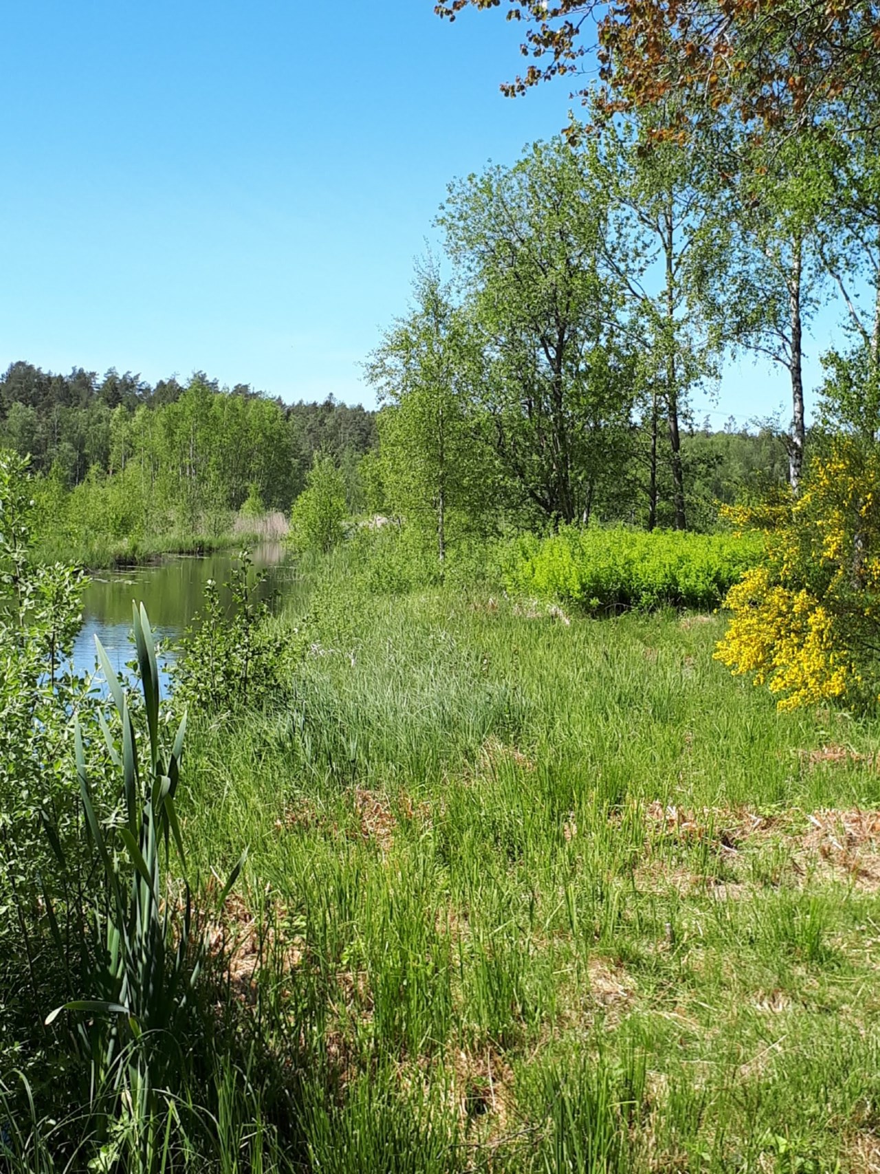 Säljarens bild