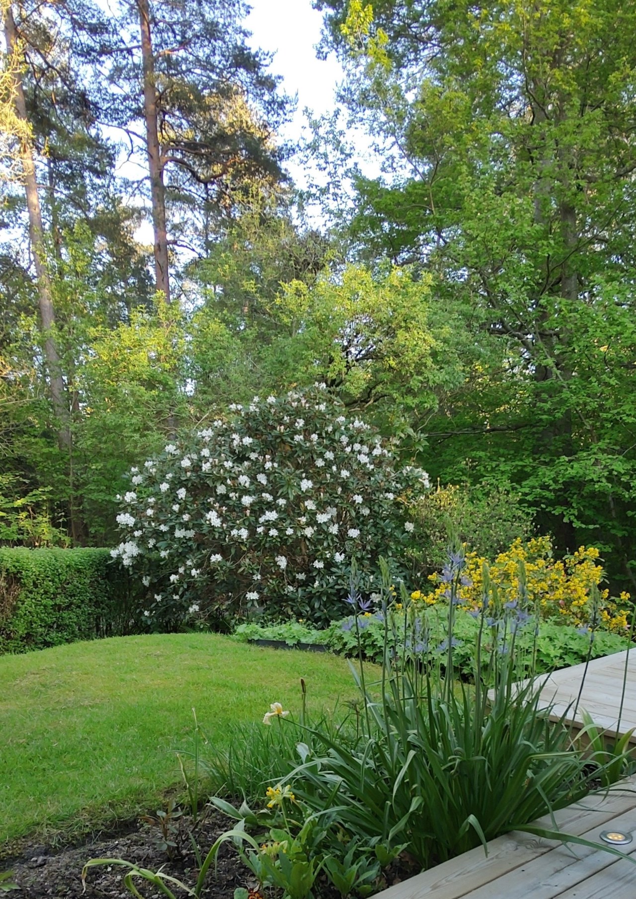 Säljarens bild
