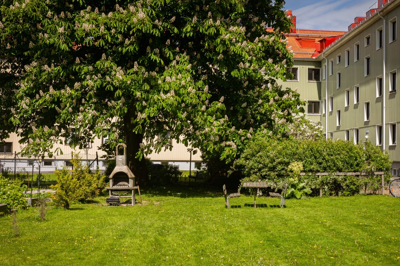 Rörstrandsgatan 7C