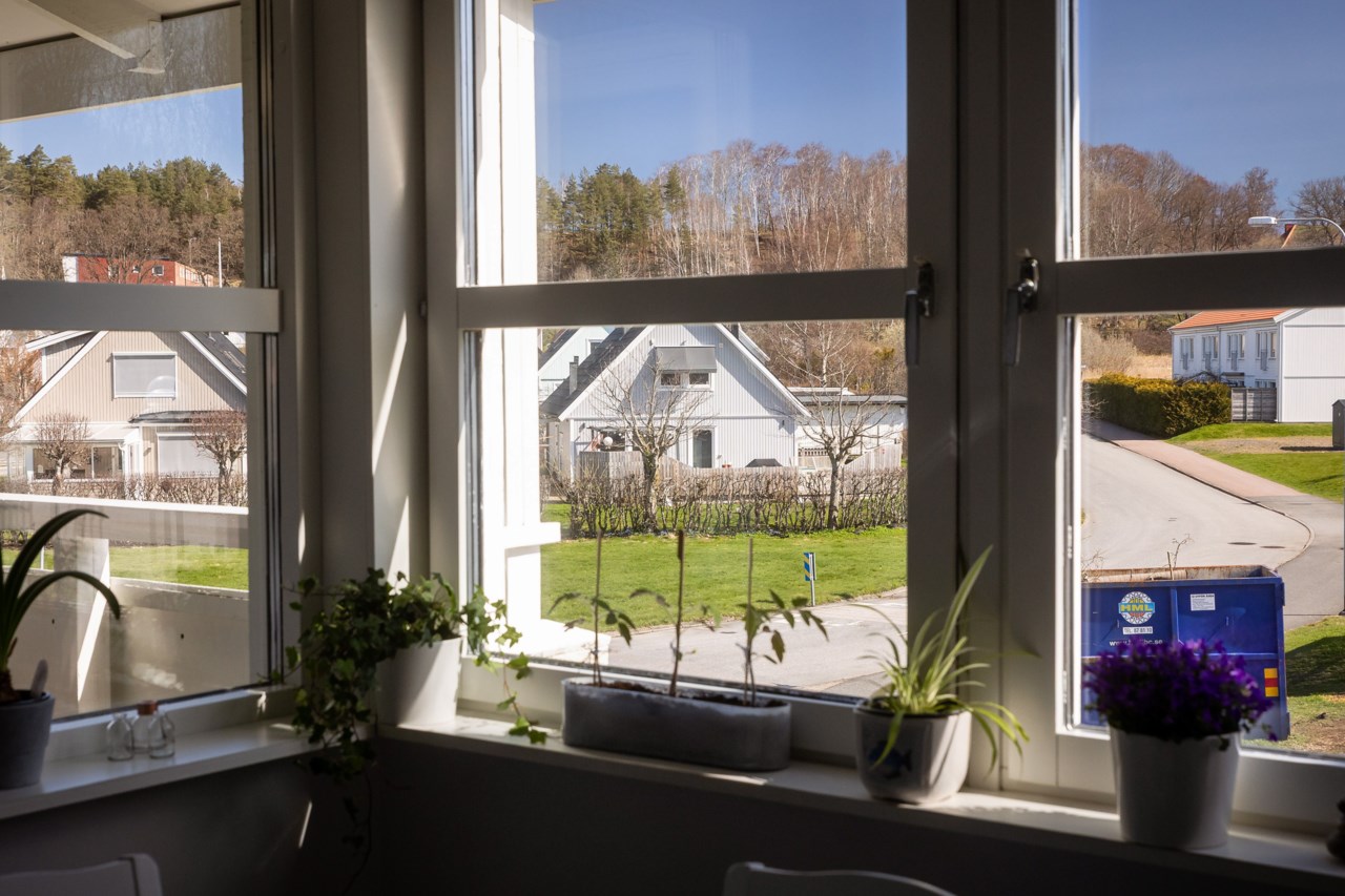 Ullas lyckas väg 11