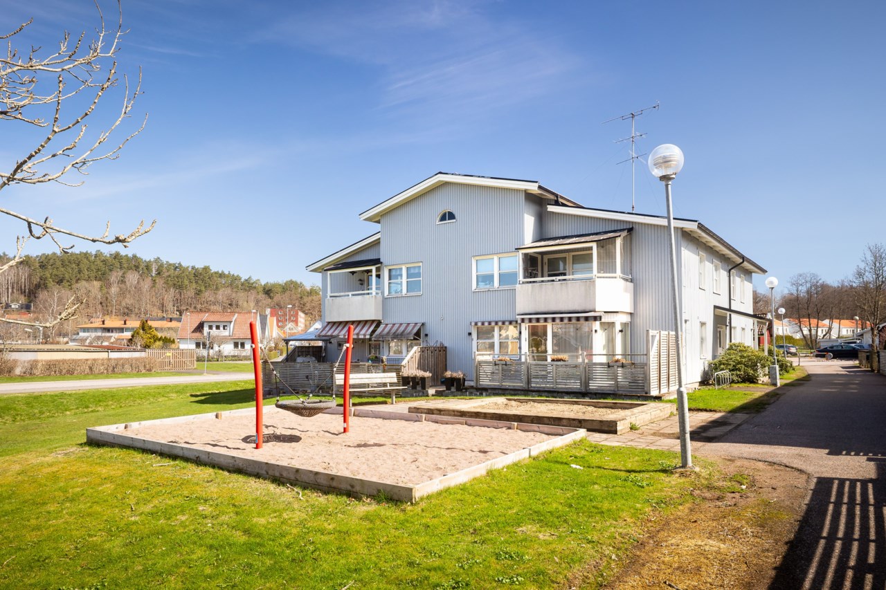 Ullas lyckas väg 11