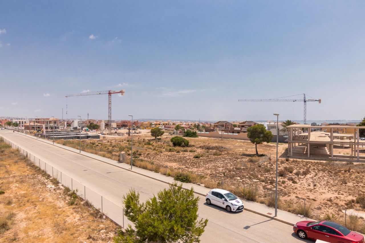 El Pino de La Herrada