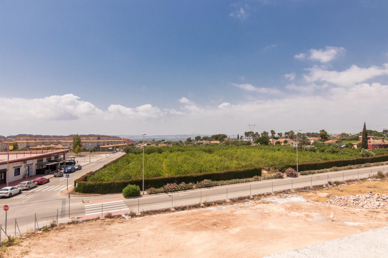 El Pino de La Herrada