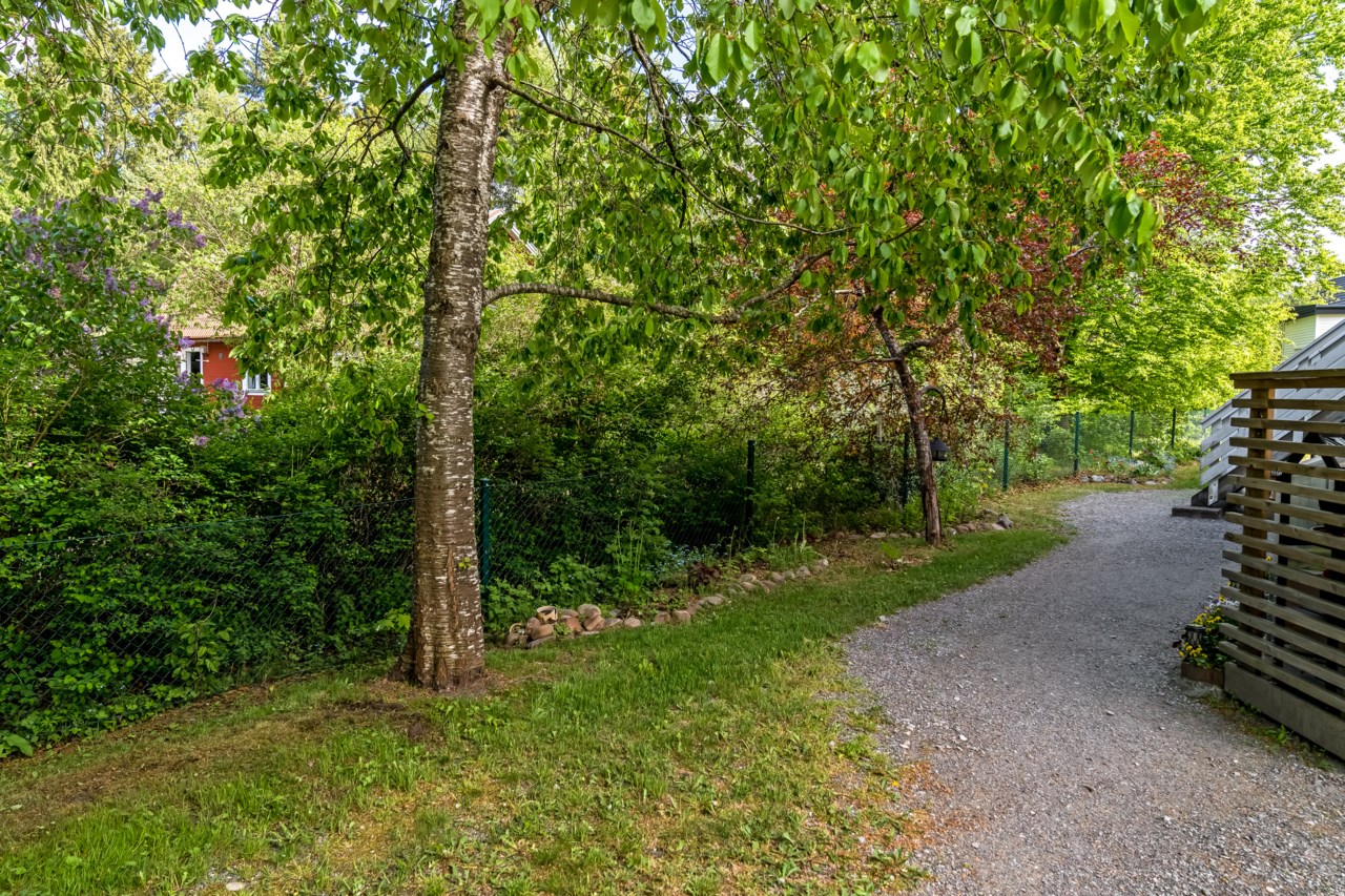 Björkvägen 12