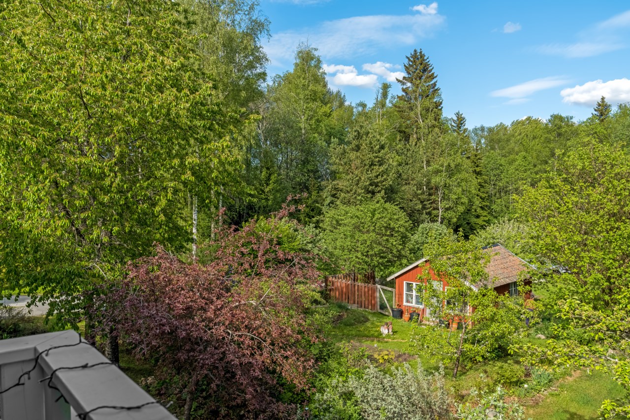 Björkvägen 12