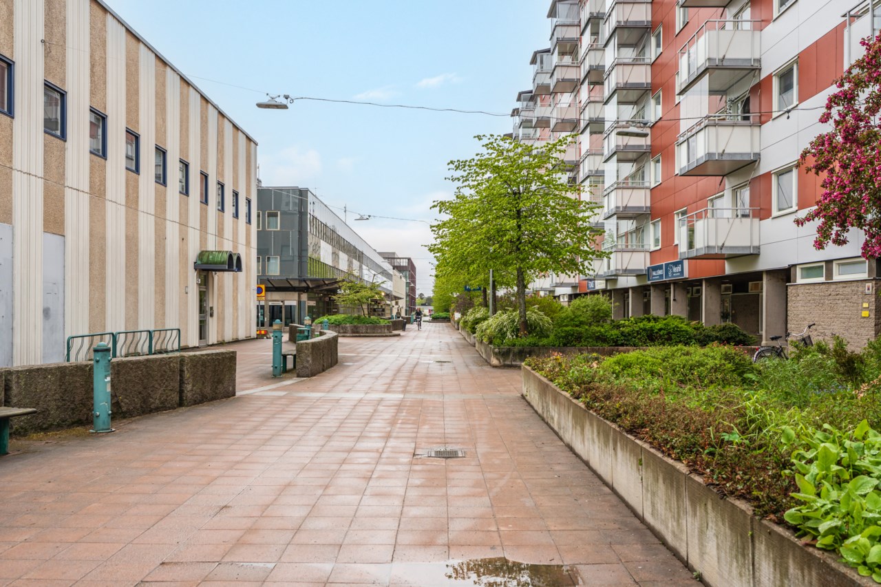 Biblioteksgången 2