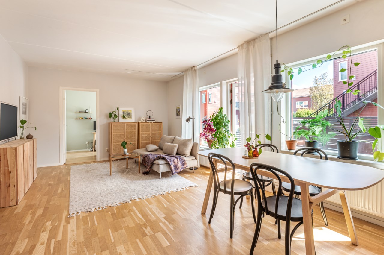 Fina sociala ytor med härligt ljusinsläpp