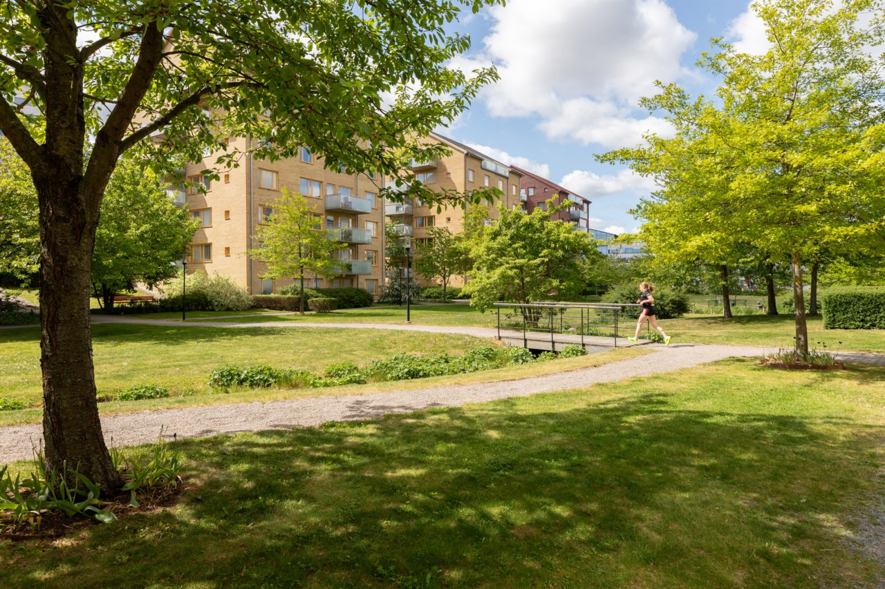 Signe Tillischgatan 9