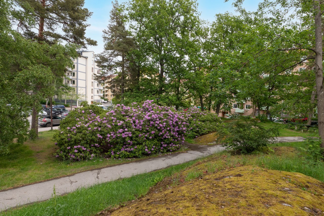 Hasselstigen 4