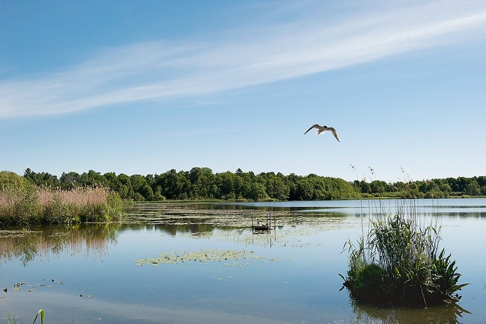 Virebergsvägen 14