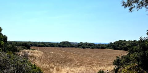 RHODOS