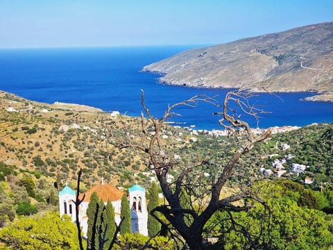 Andros