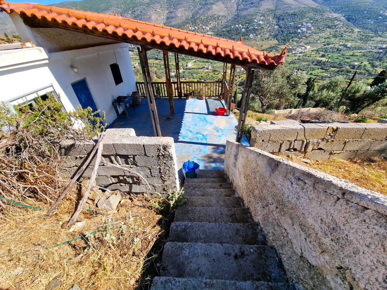 Andros