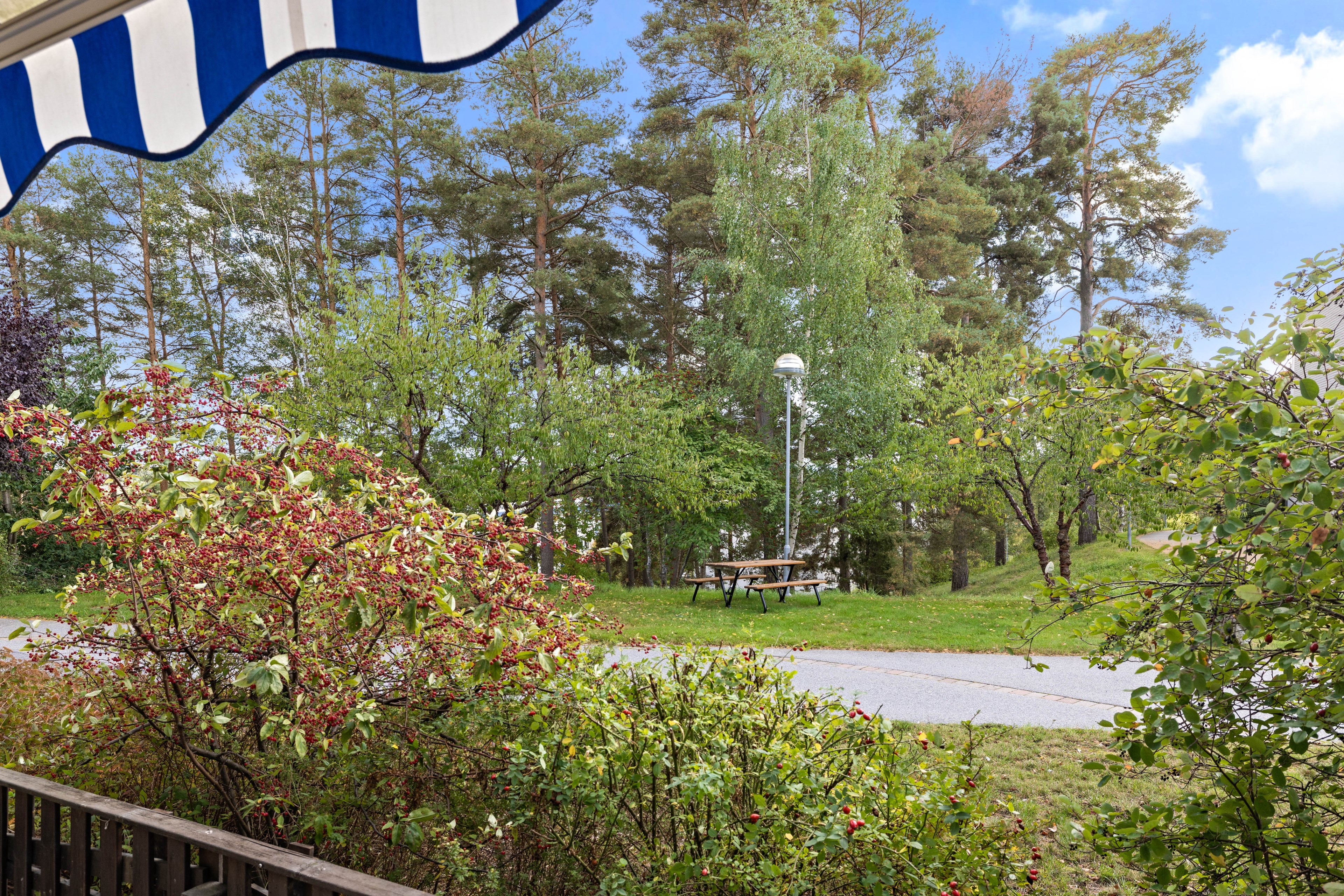 Björnbärsstigen 4