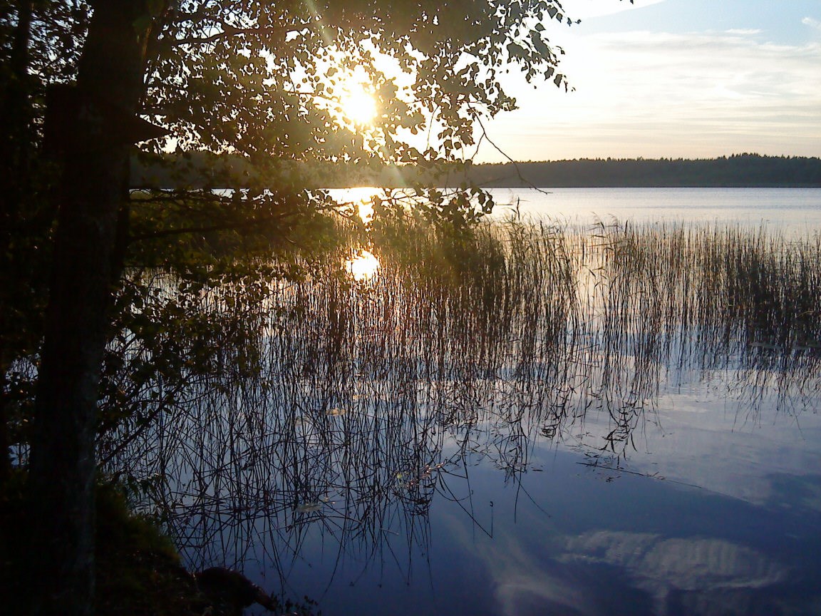 Enbärsvägen 7