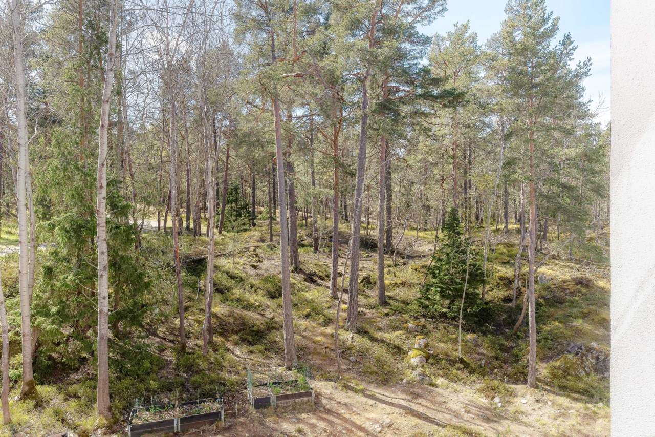 Pepparvägen 62