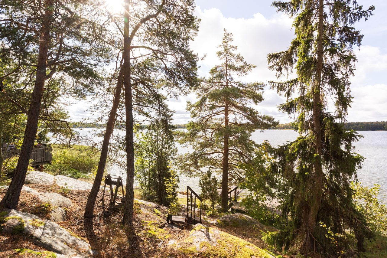 Färdgärde 50