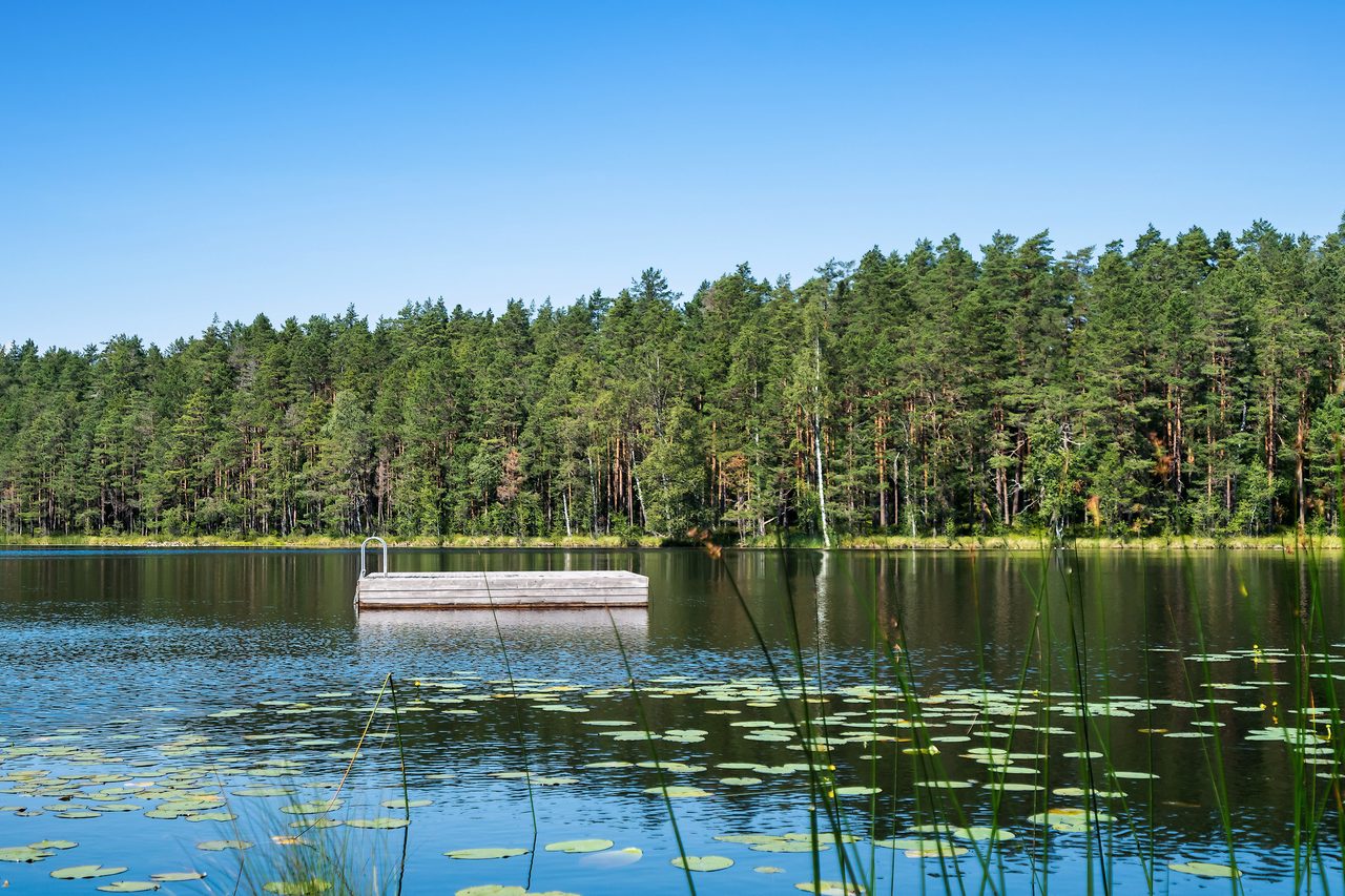 Nedre Laksjövägen 9
