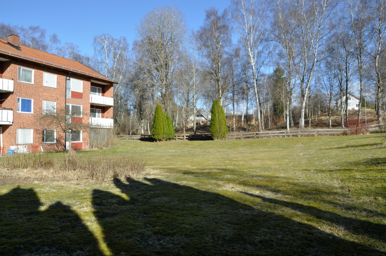 grönområde intill
