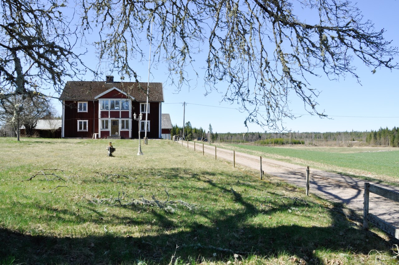 Vägarås 1245