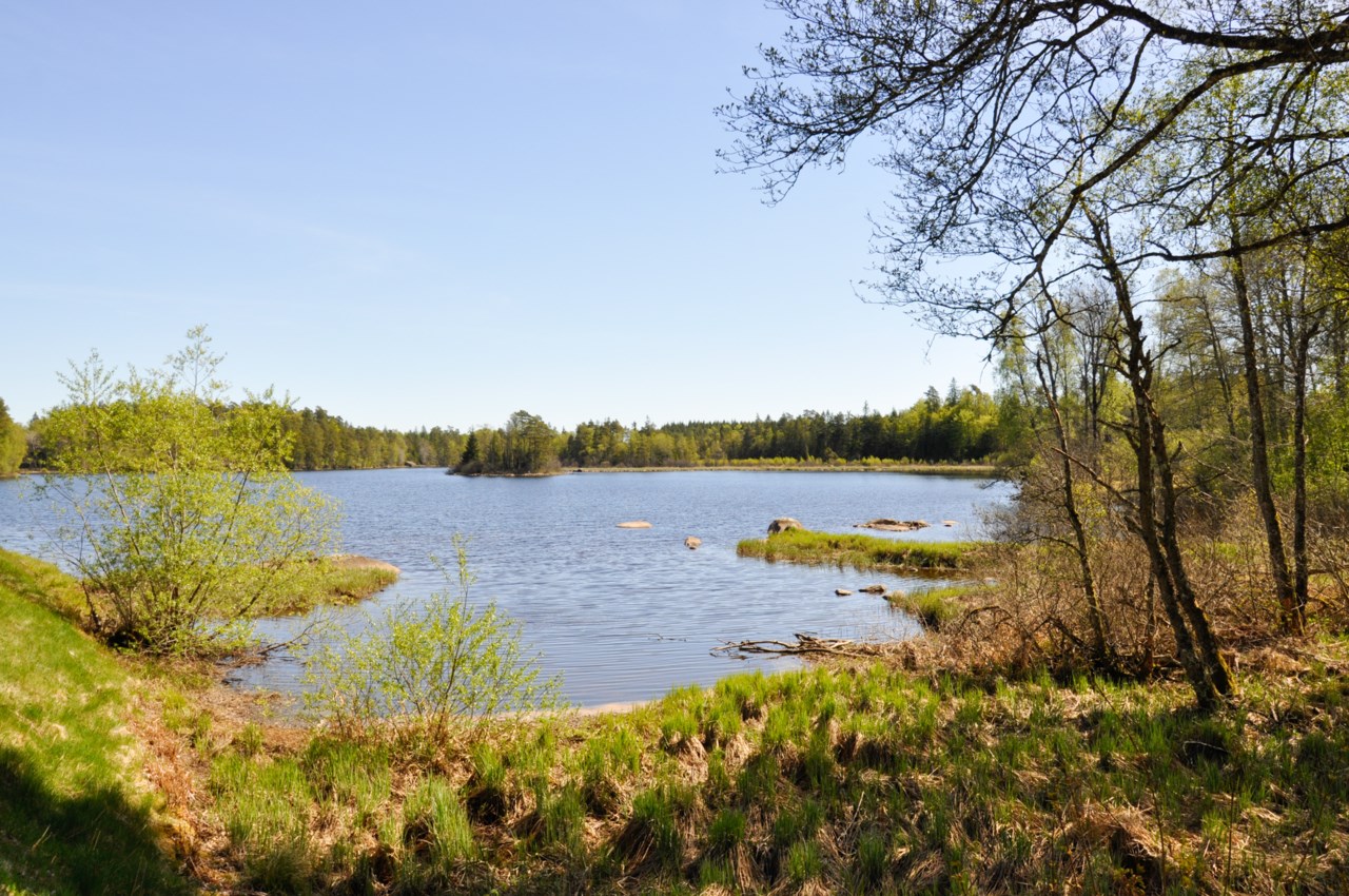 nära Lagan