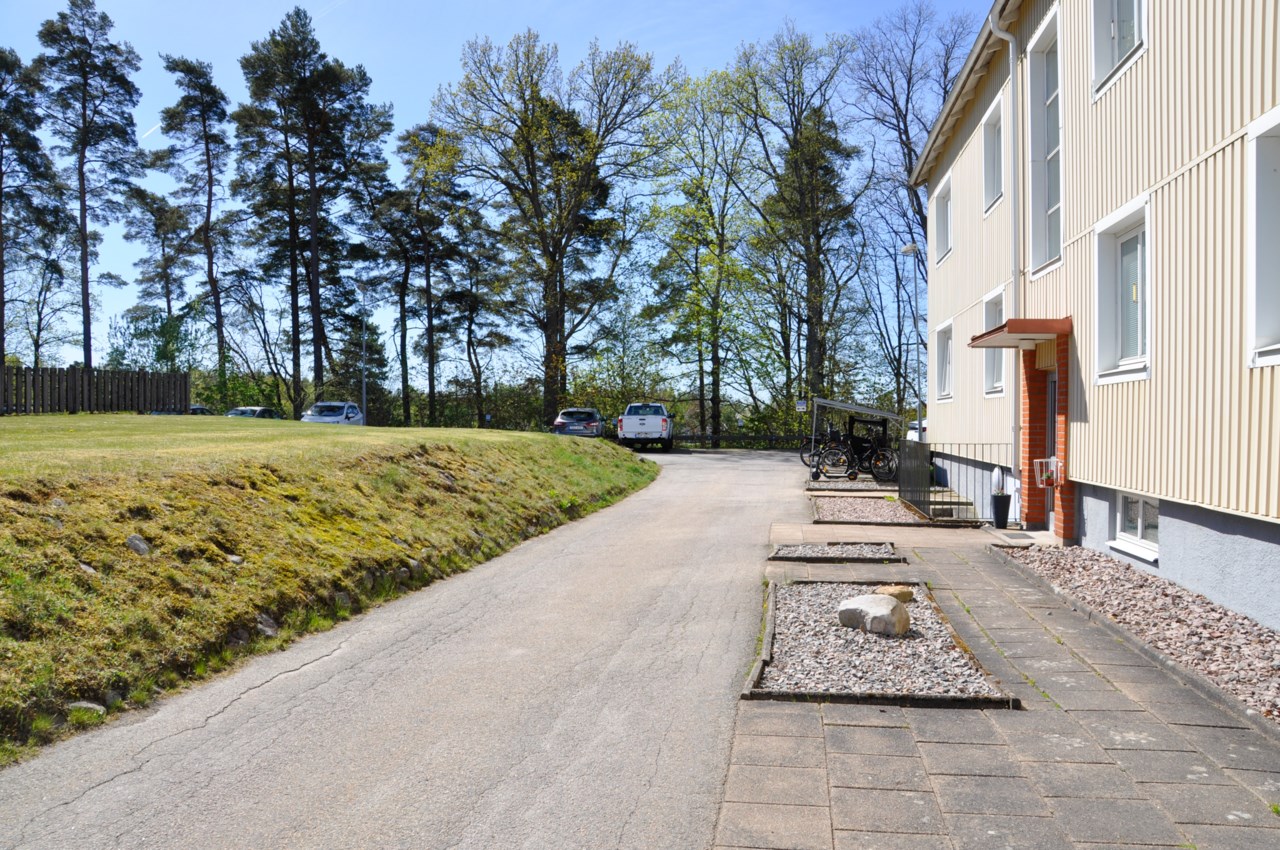 välskött förening