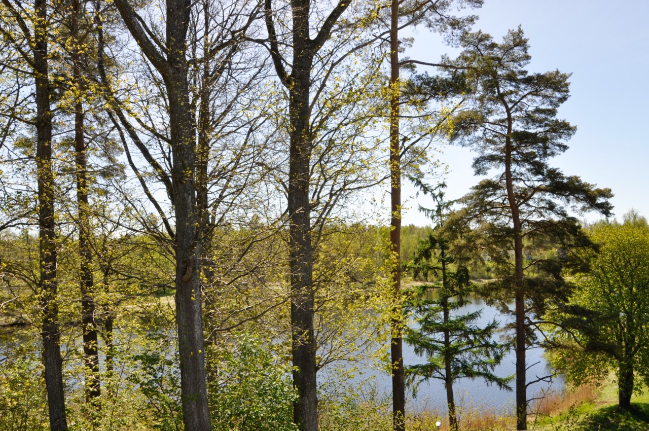 trevliga omgivningar med sköna promenader