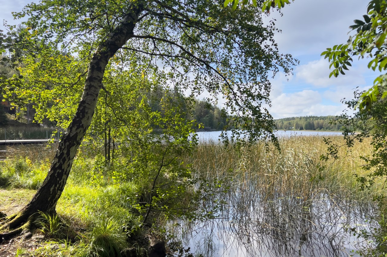 Sjön Ådran