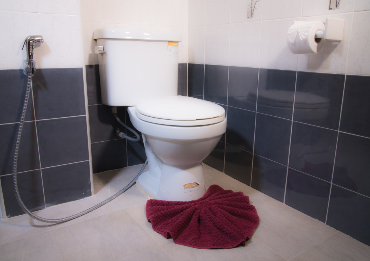 Whiteflower Apartment B1