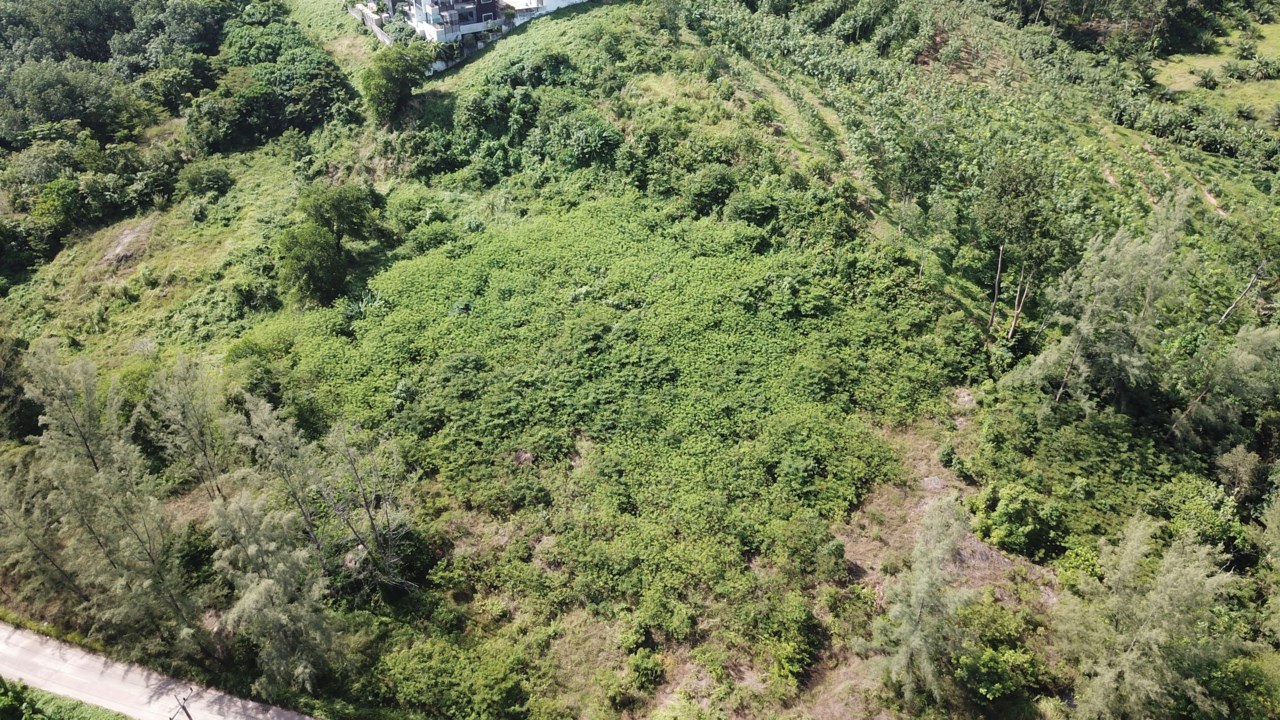 Lanta Hill View