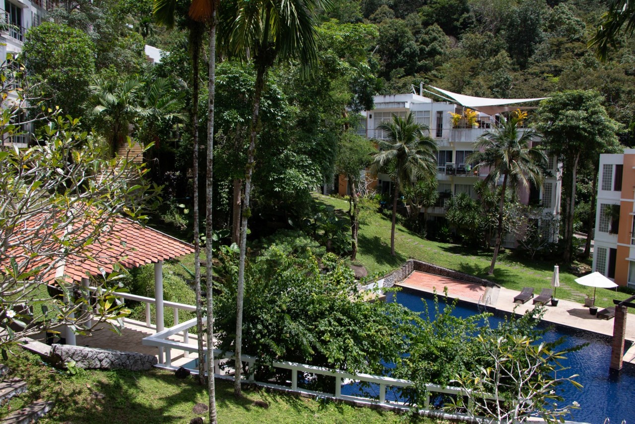 Kamala Hills