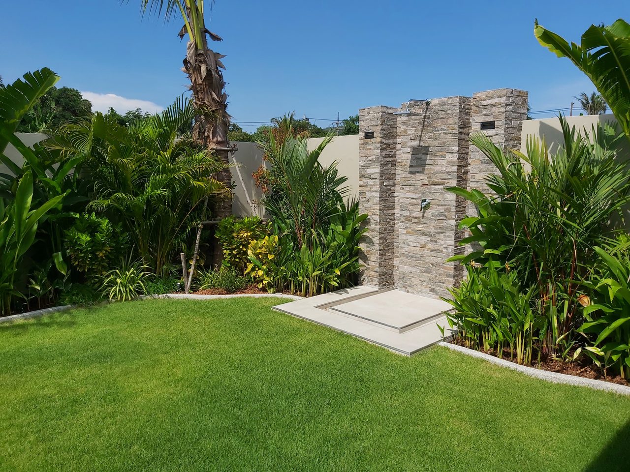 Palm Avenue 4