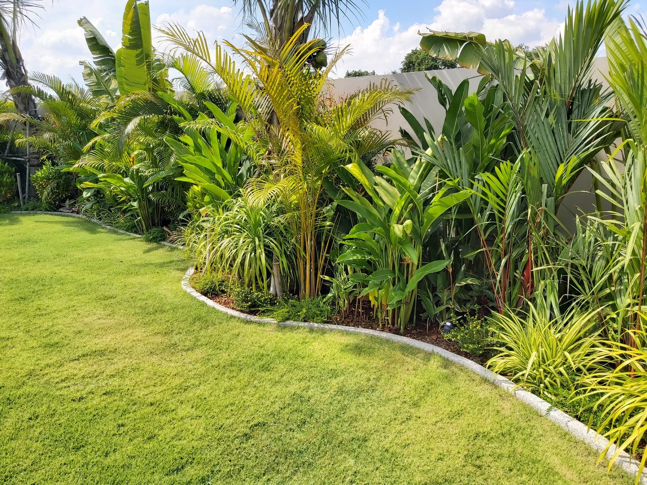 Palm Avenue 4