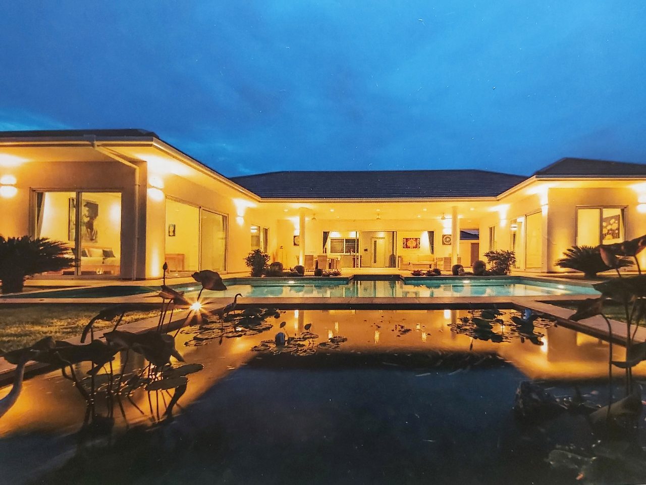 Palm Avenue 4