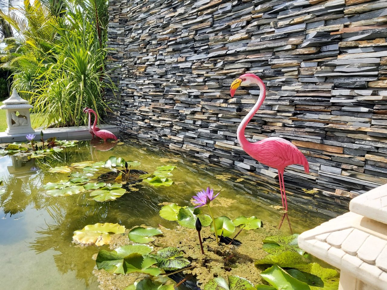 Palm Avenue 4