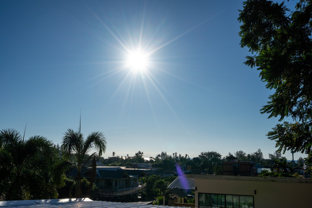Secret Garden A3