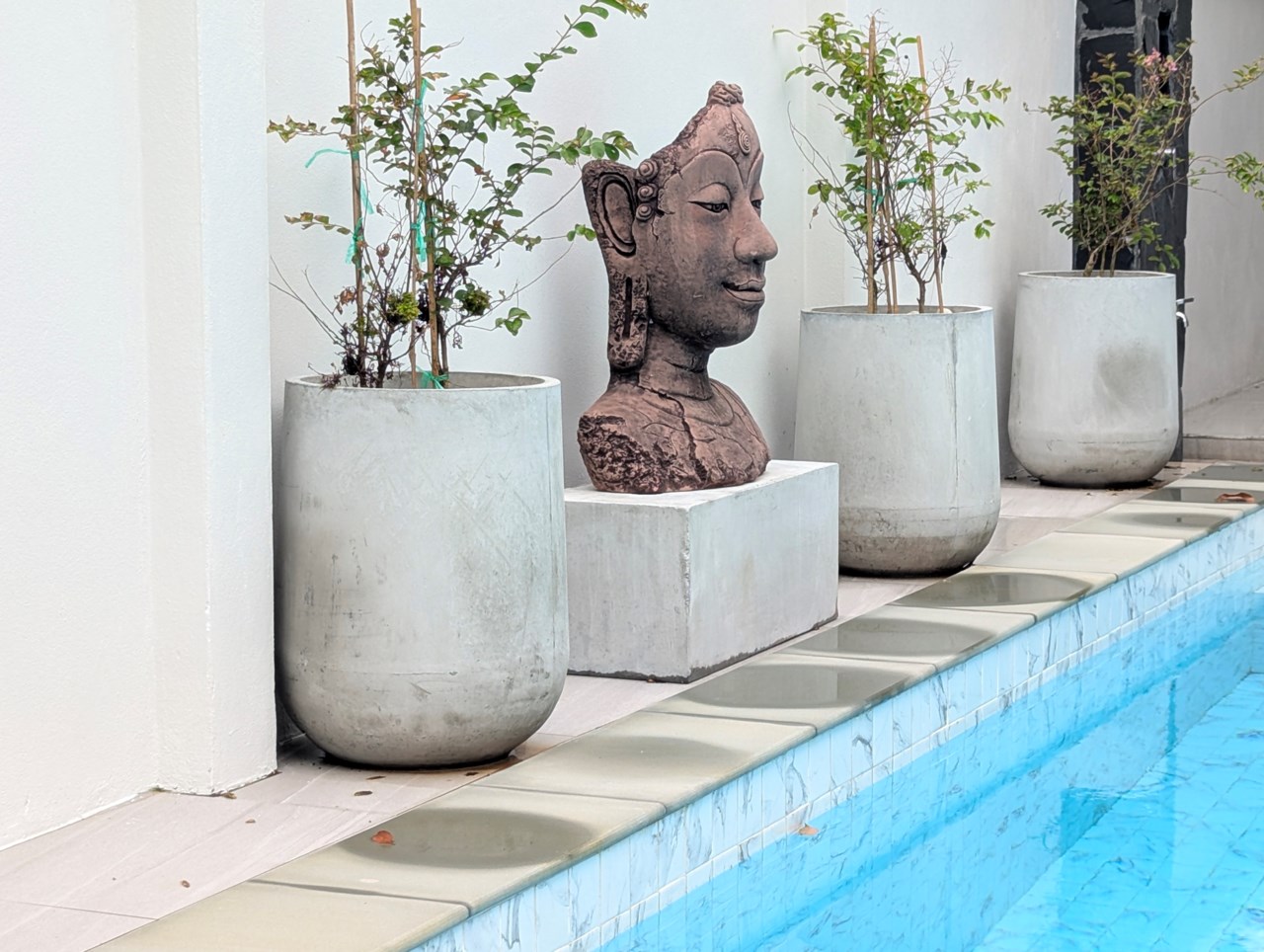 Backyard Villa 908